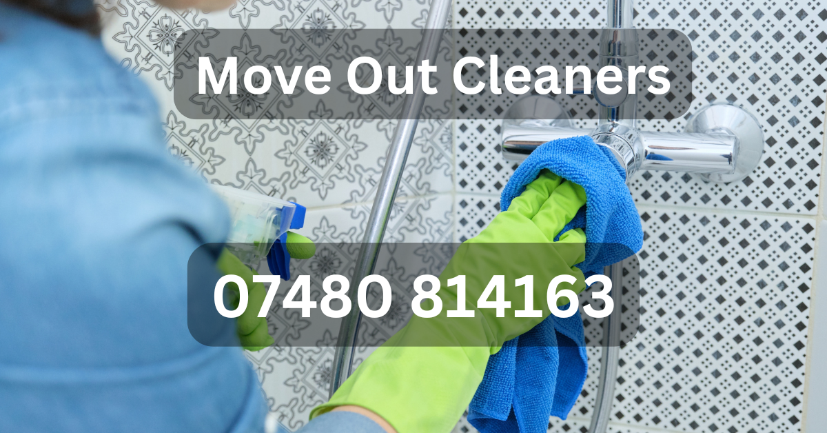 Move Out Cleaners 